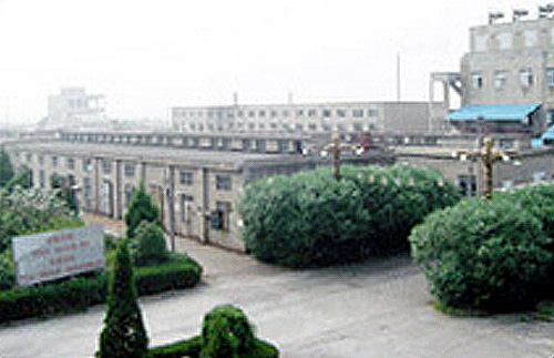企業(yè)風貌
